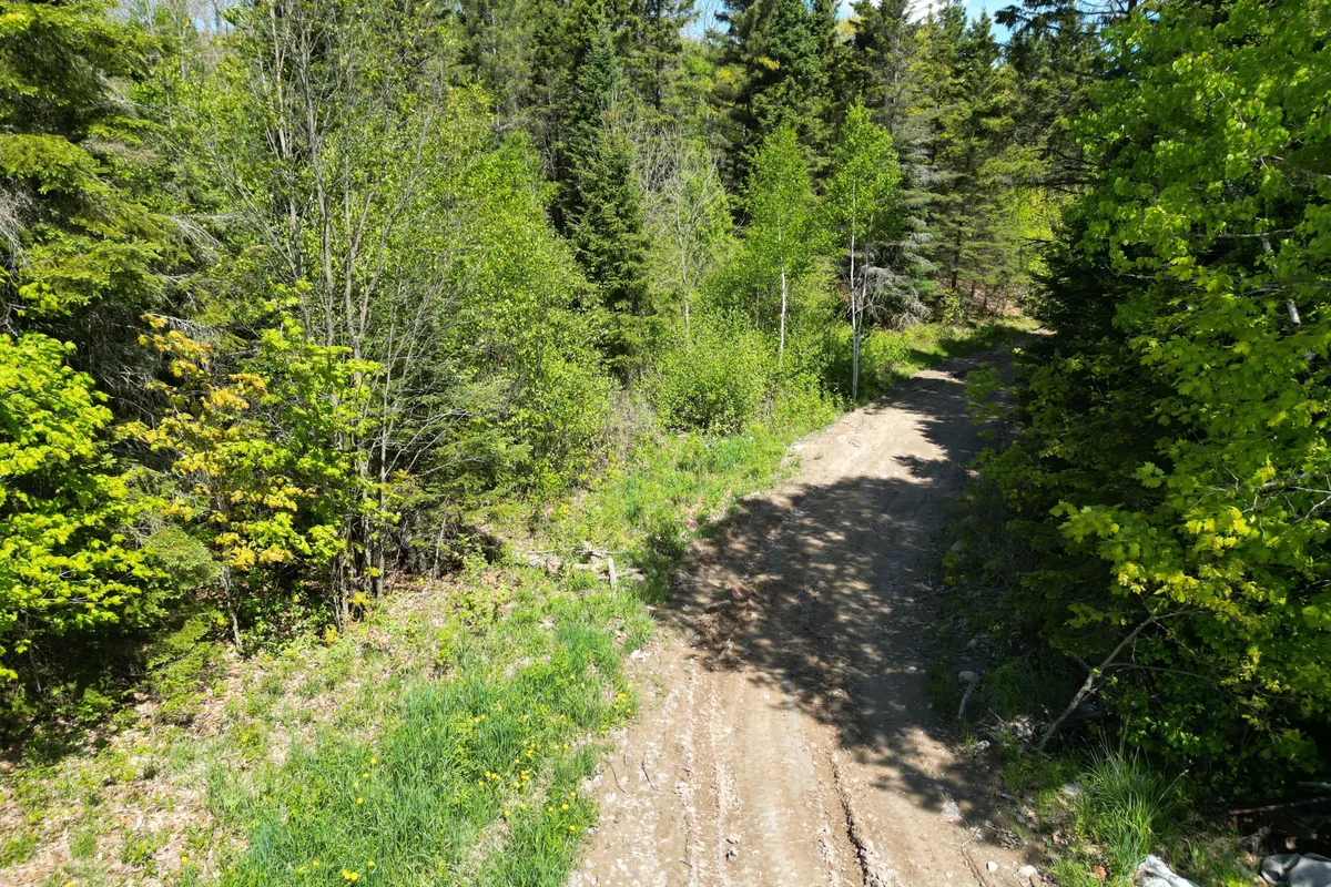 791 Clear Lake Road, ON P0H 1A0