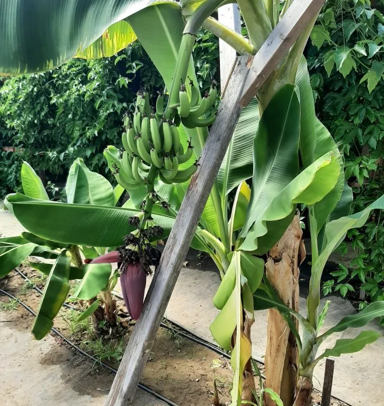 791 Clear Lake Road, ON P0H 1A0