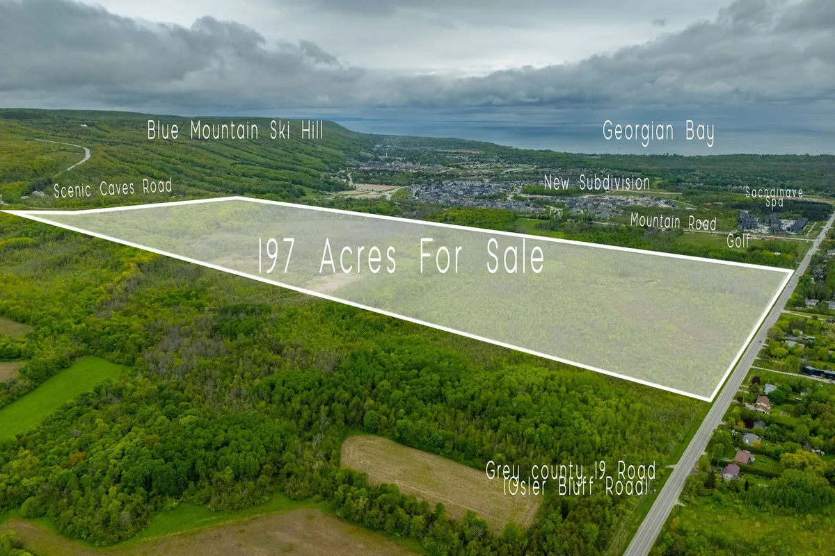 000 Grey County 19 Road, ON L9Y 0N5