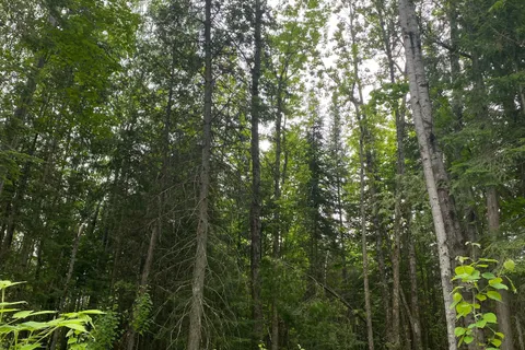 1755 South Baptiste Lake Road, ON K0L 1C0