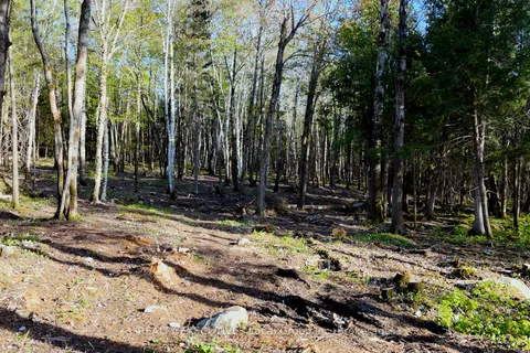 Part 3 Lot 10 LINDQUIST Line, ON P0H 1Z0