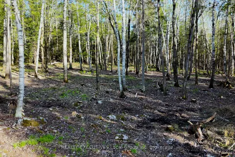 Part 3 Lot 10 LINDQUIST Line, ON P0H 1Z0