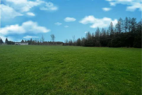 773462 Highway 10 Road, ON N0C 1E0