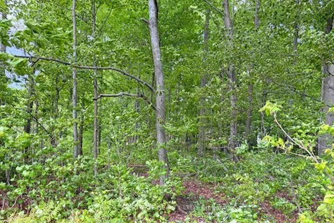 4461 Ganaraska Road, Port Hope, ON L0A 1B0