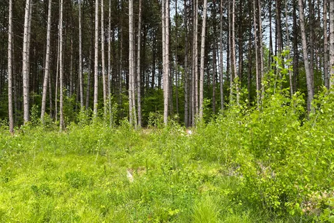 18500 Highway 60 Highway, ON K0J 1B0