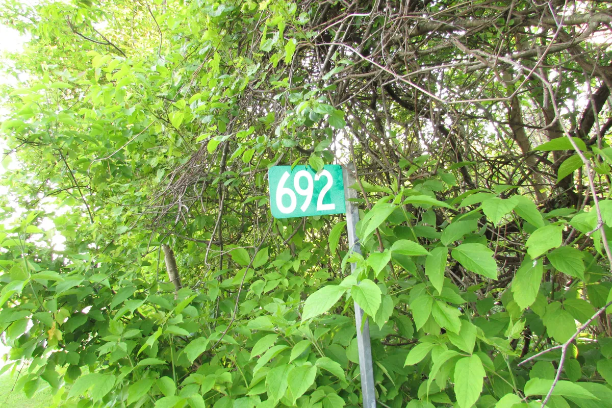 692 North Shore Drive, ON K0L 1B0