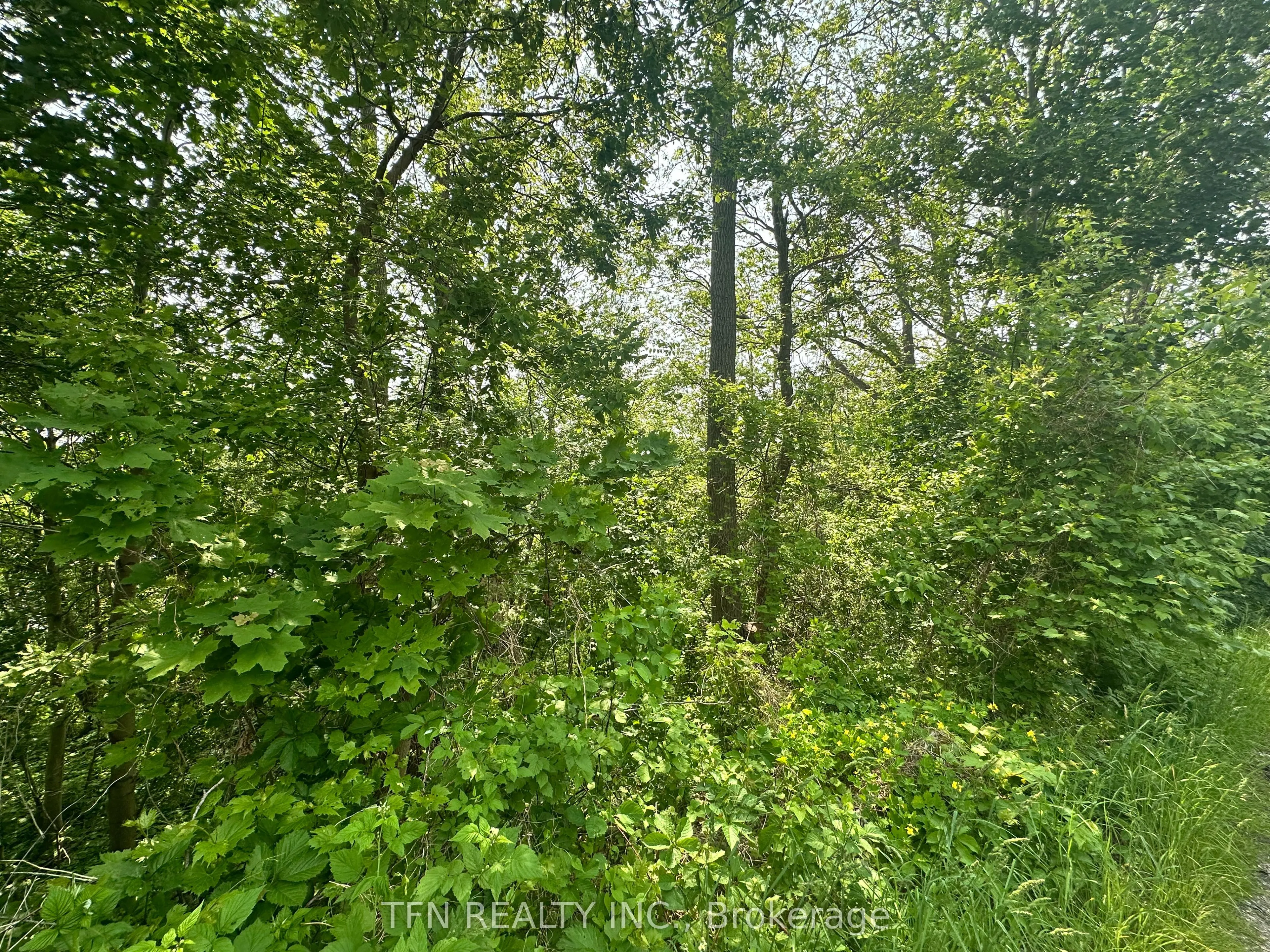 489 Caithness Street, ON N3W 1B2