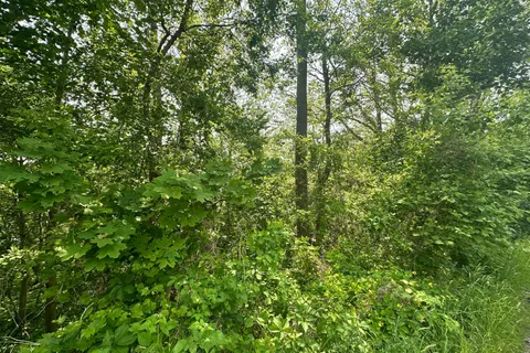 489 Caithness Street, ON N3W 1B2