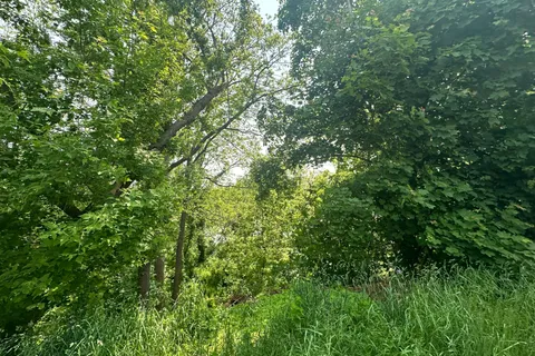 489 Caithness Street, ON N3W 1B2