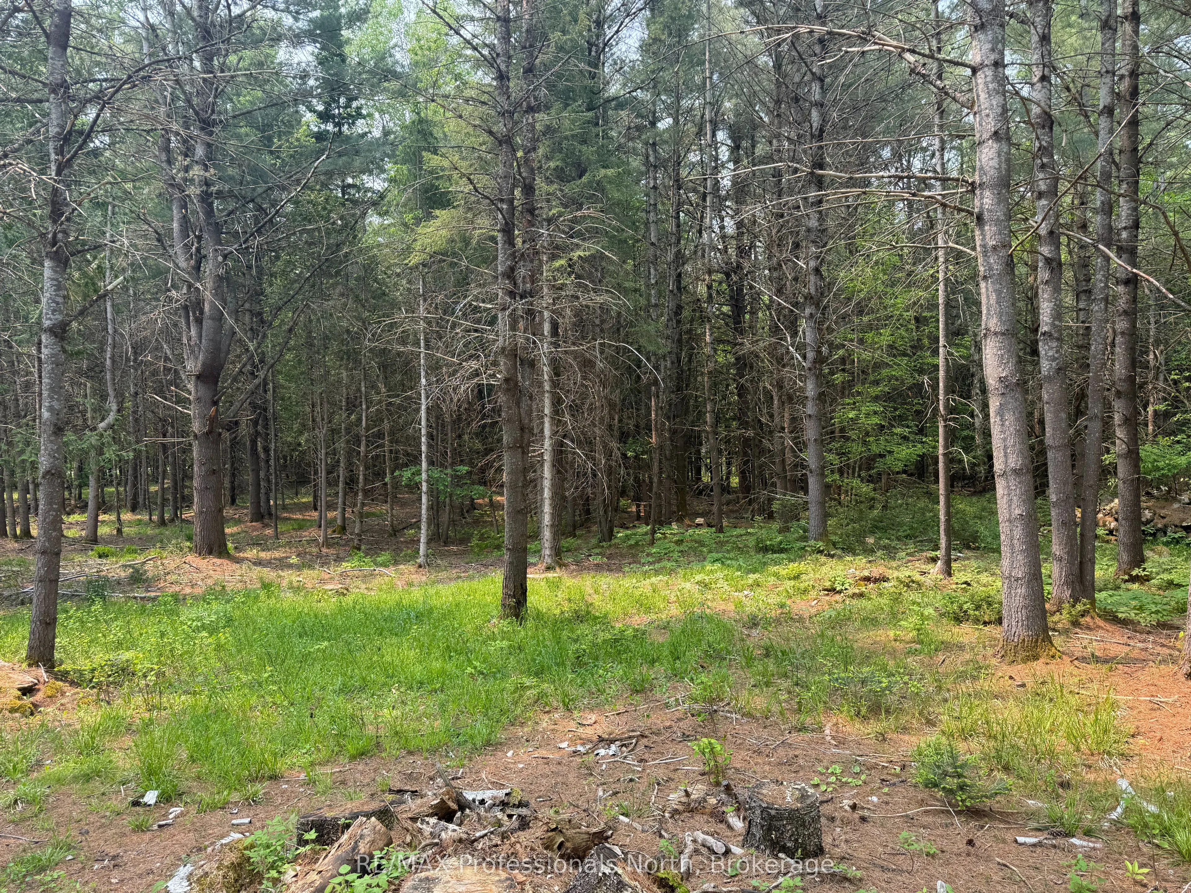 1897 Blairhampton Road, ON K0M 2K0