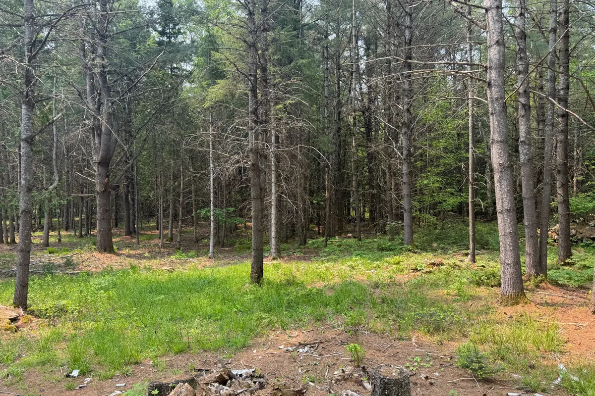 1897 Blairhampton Road, ON K0M 2K0