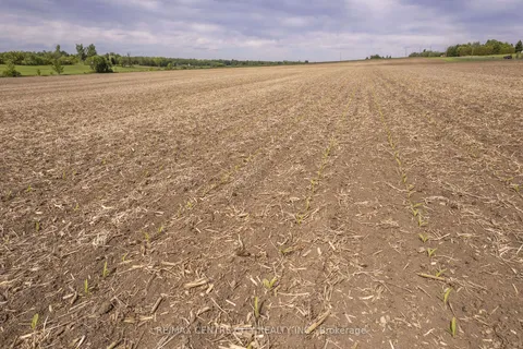 19267 County 25 Road, ON K0C 1B0