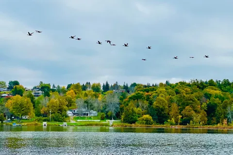 247 Dunnette Landing Road, ON K0K 2X0