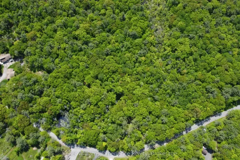 162 Bonneville Road, ON L0K 1S0