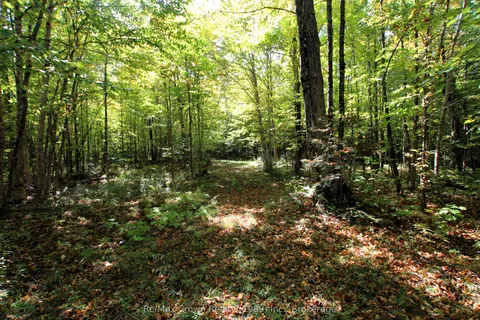 0 Lover's Lane, ON P0H 1S0