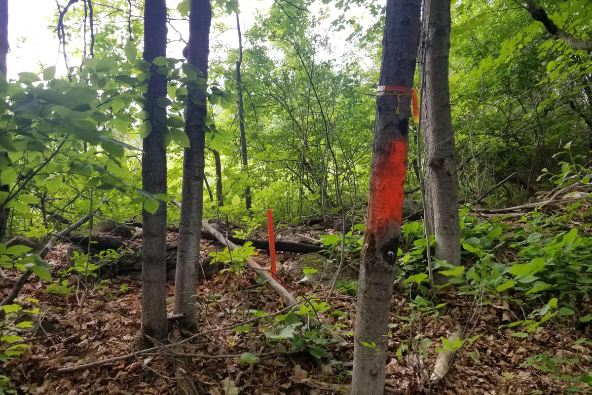 0000 Scrivens Drive, ON K0A 2P0