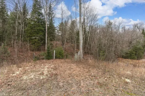 0 County Road 121 N/A, ON K0M 2A1