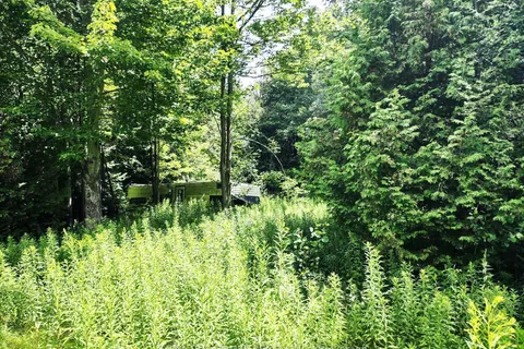 00000 WEBSTER Road, ON L1A 3Z9