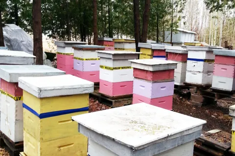 00000 WEBSTER Road, ON L1A 3Z9