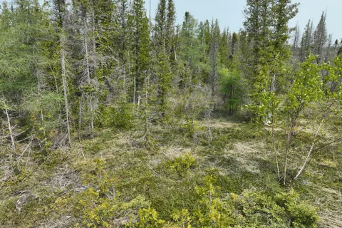 LT 58 MCIVOR Drive, ON N0H 2R0