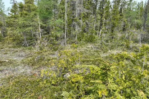 LT 58 MCIVOR Drive, ON N0H 2R0