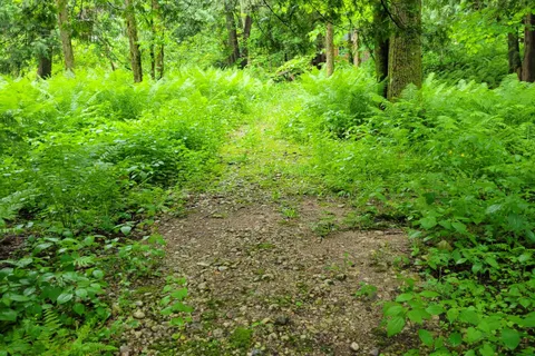 183 Anderson Drive, ON N0G 1S0