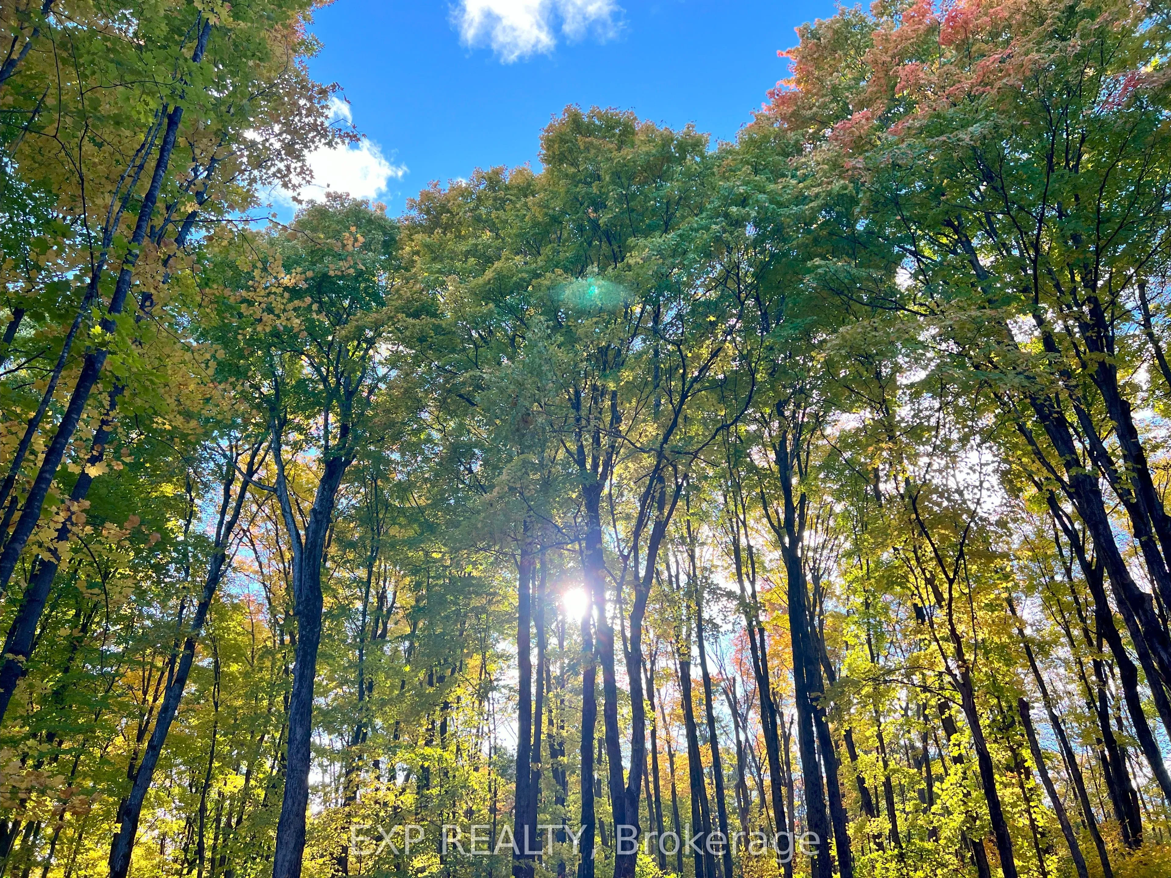 3191 Mountainview Road, ON K0J 2A0