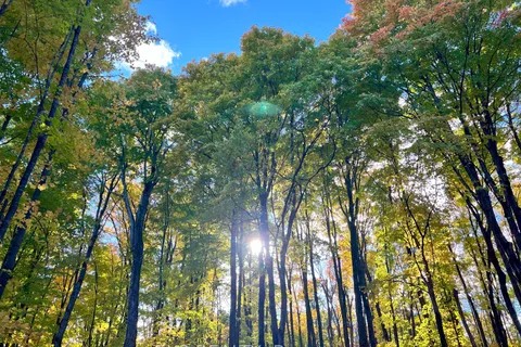 3191 Mountainview Road, ON K0J 2A0