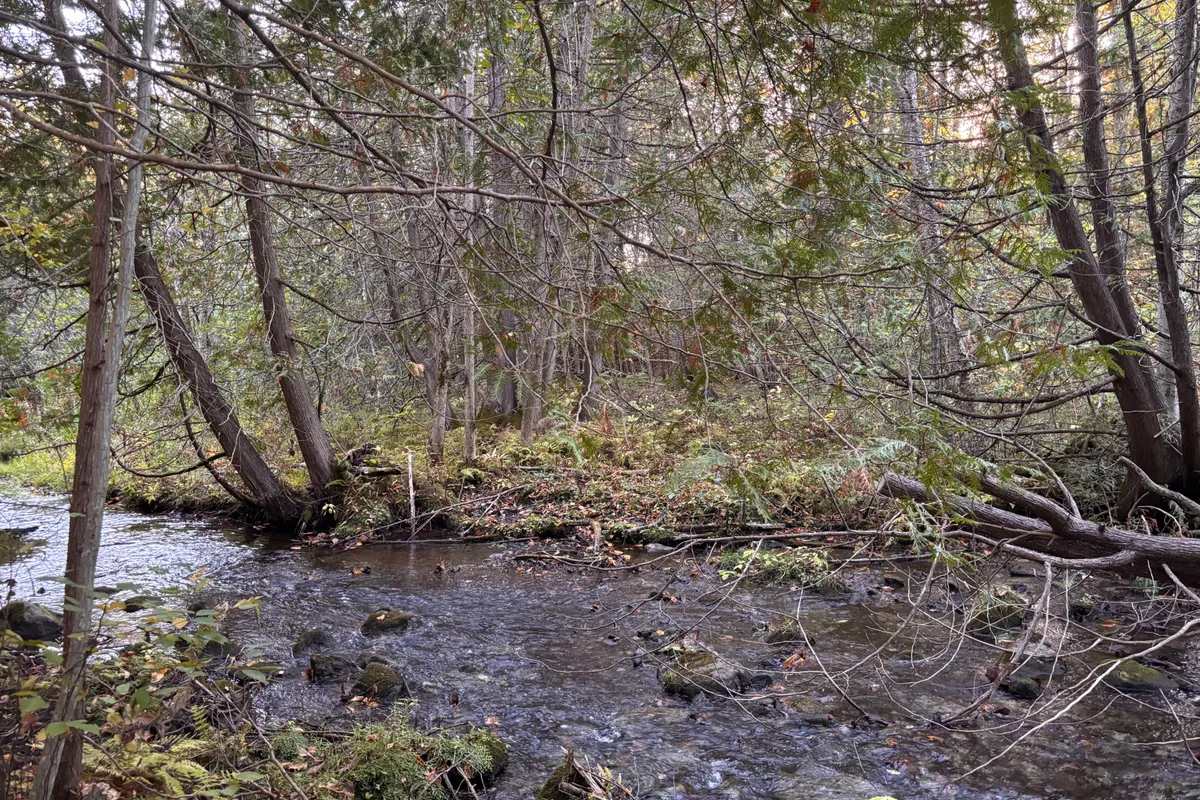 PT LT 29-30 Naphan Road, ON K0K 2Y0