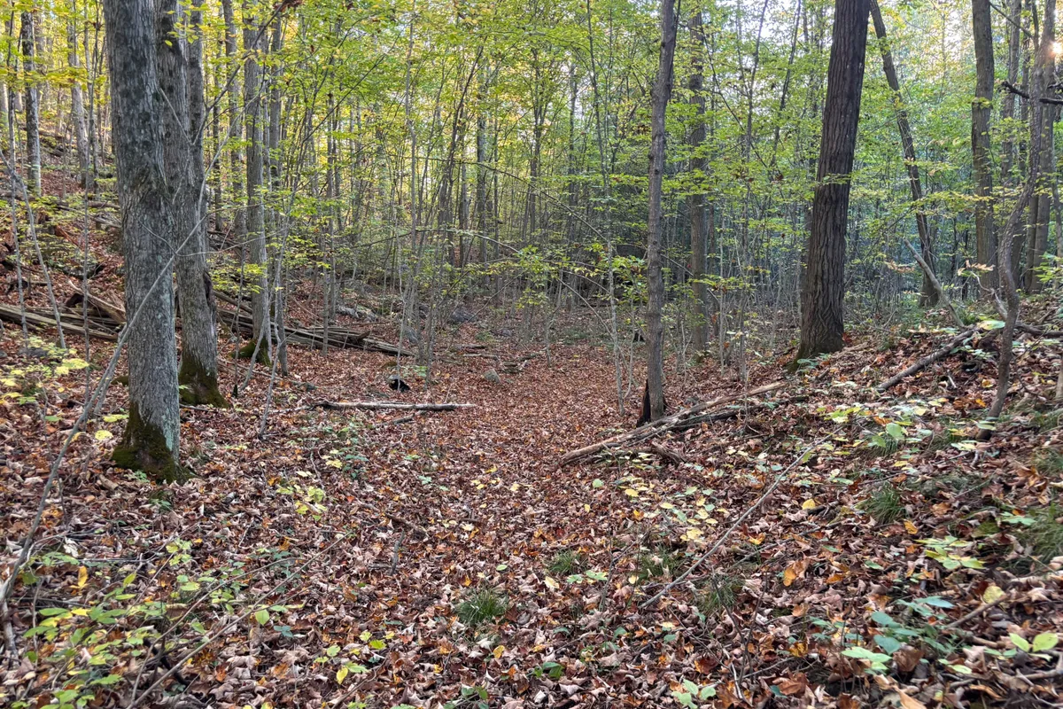 PT LT 29-30 Naphan Road, ON K0K 2Y0