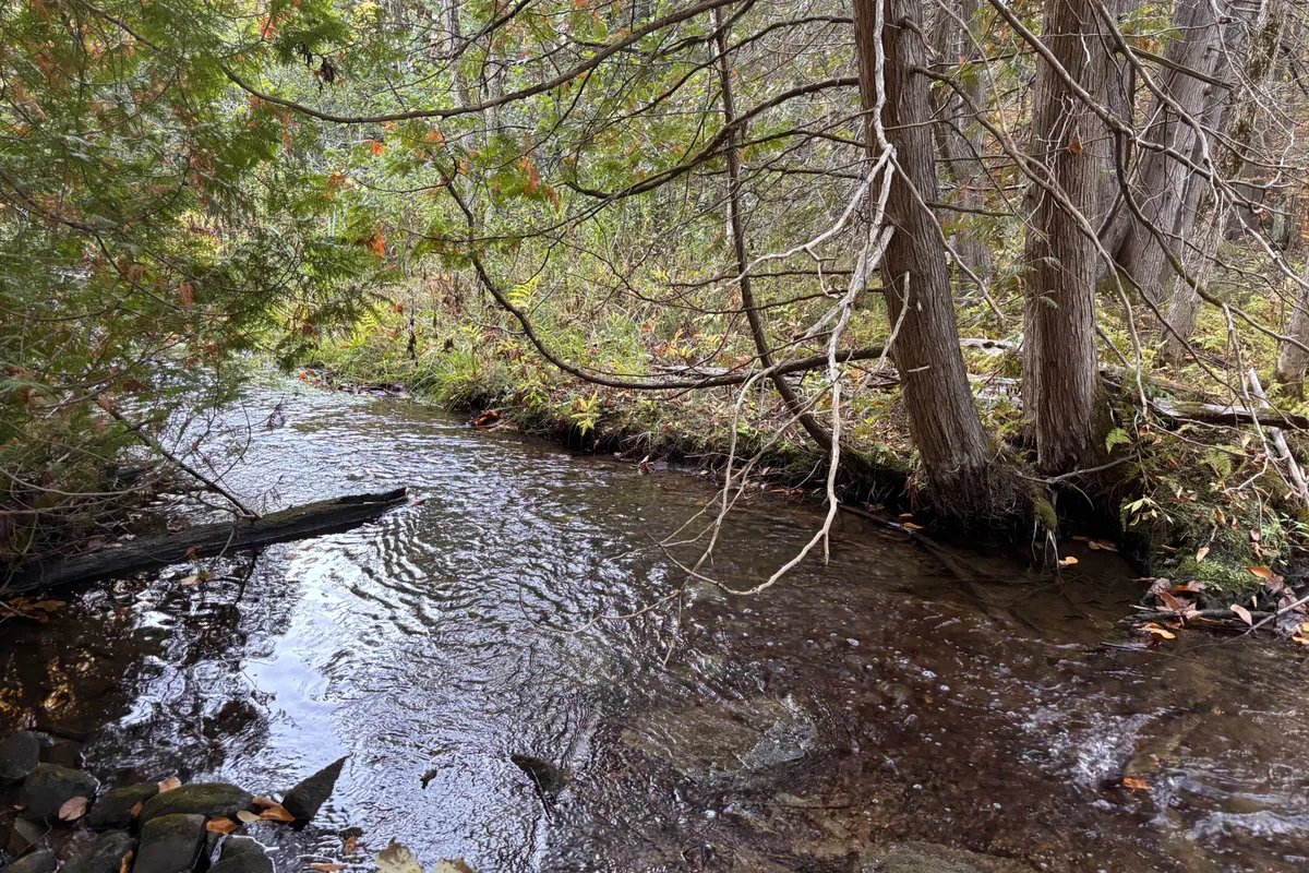 PT LT 29-30 Naphan Road, ON K0K 2Y0