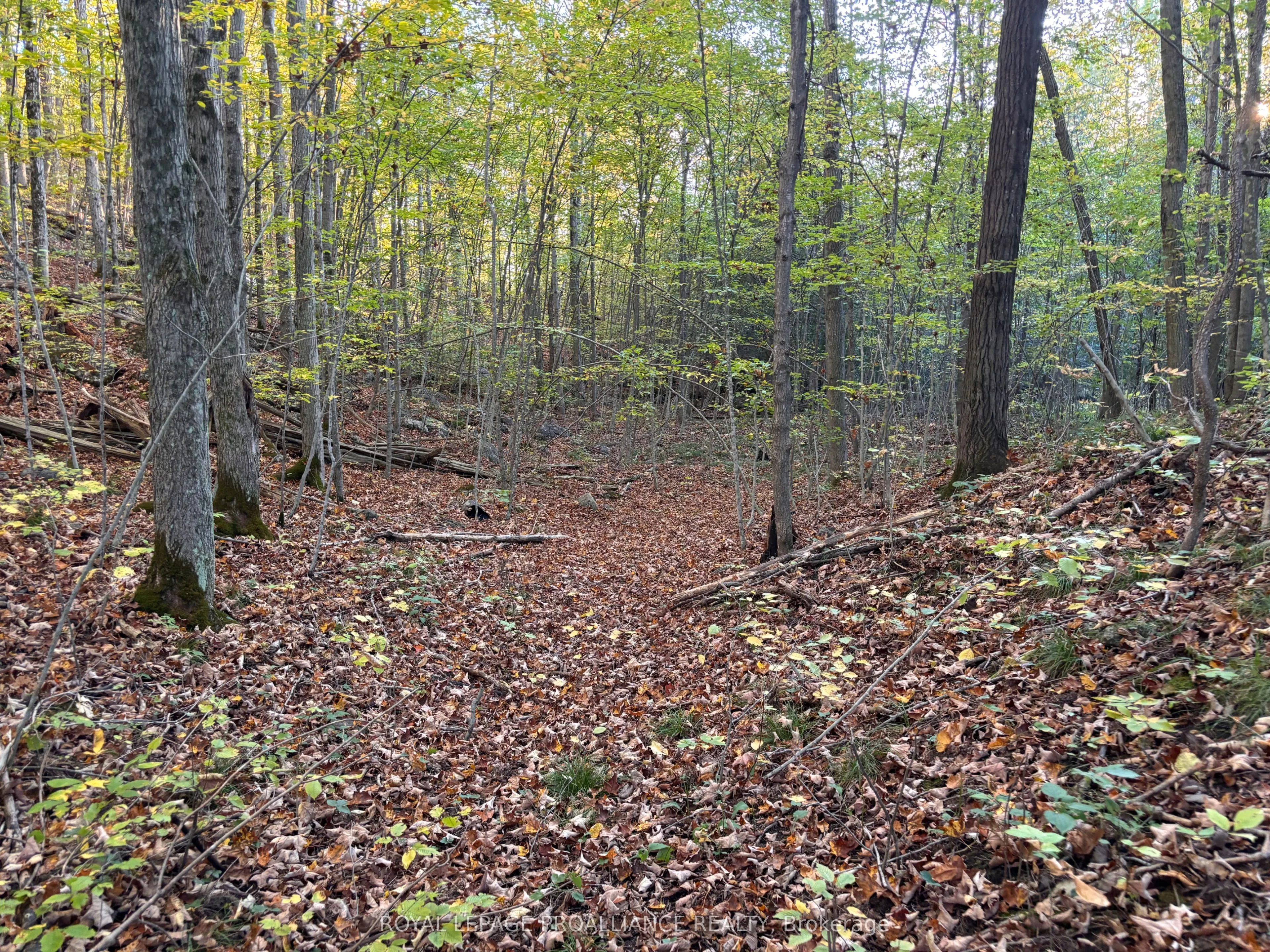 PT LT 29-30 Naphan Road, ON K0K 2Y0