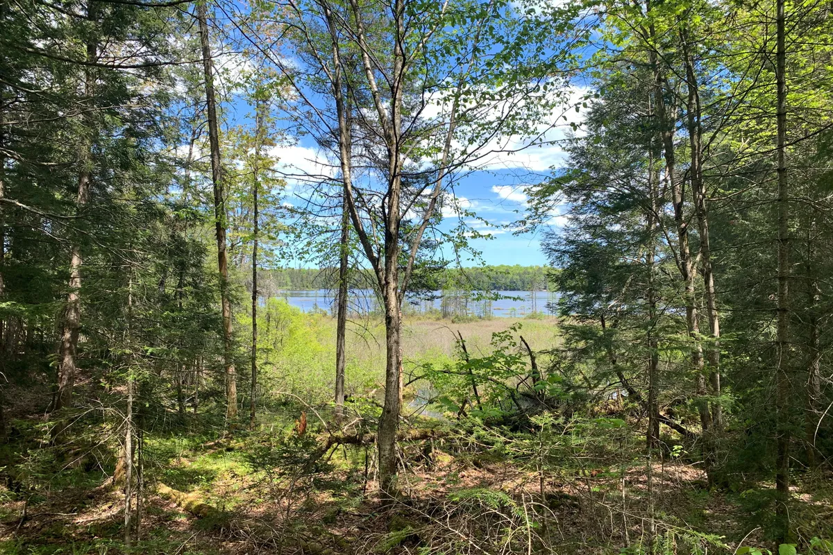 0 Maxwell Lane, ON P0A 1X0