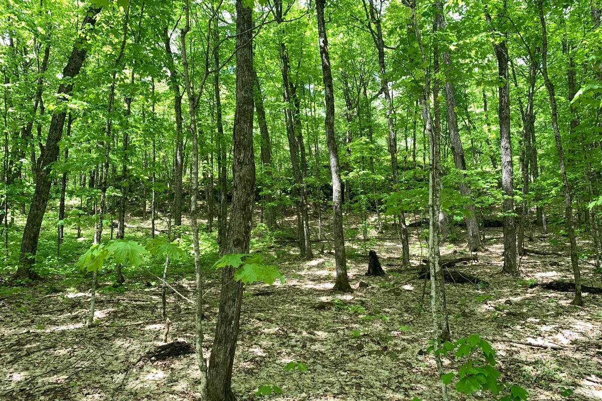 0 Maxwell Lane, ON P0A 1X0