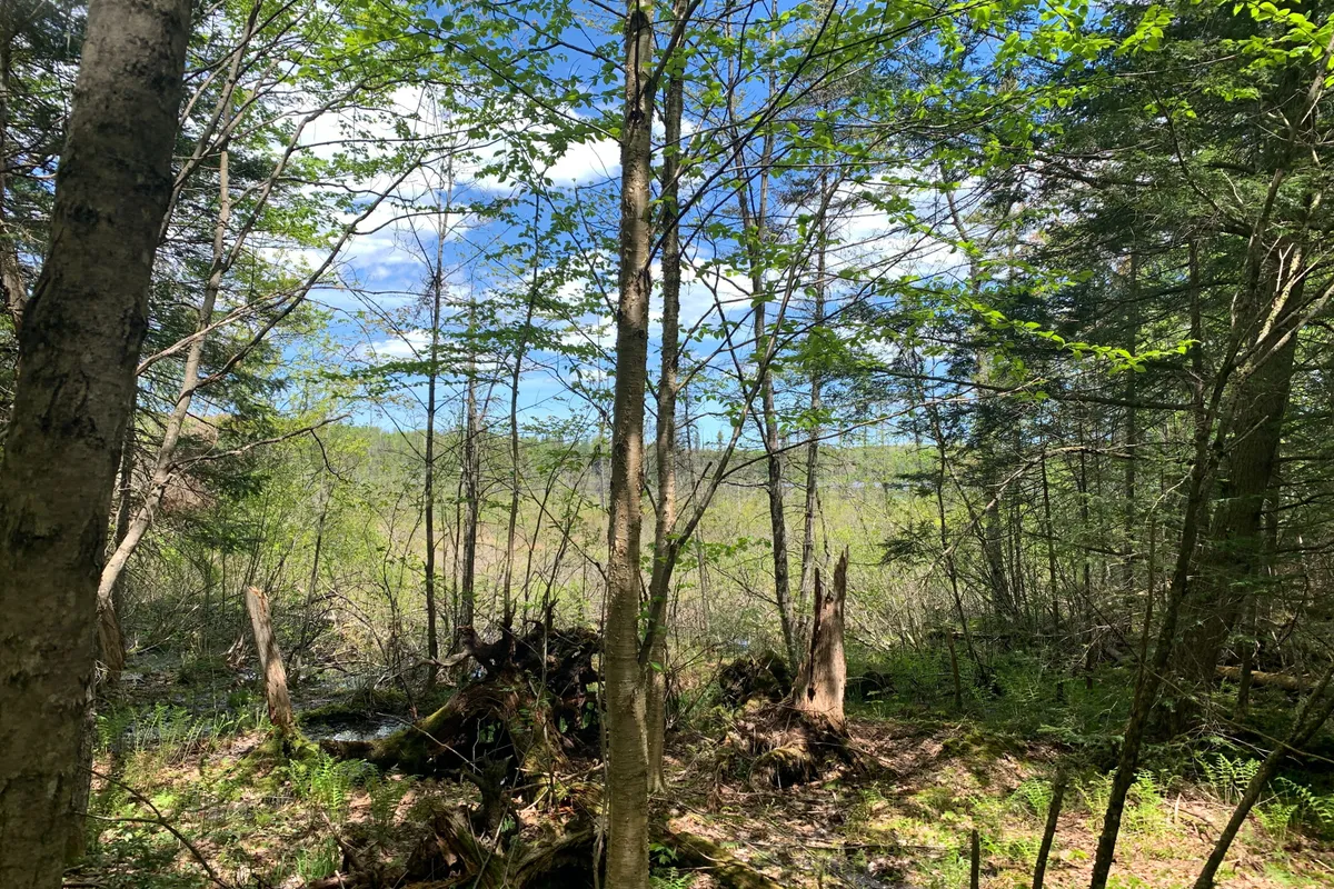 0 Maxwell Lane, ON P0A 1X0