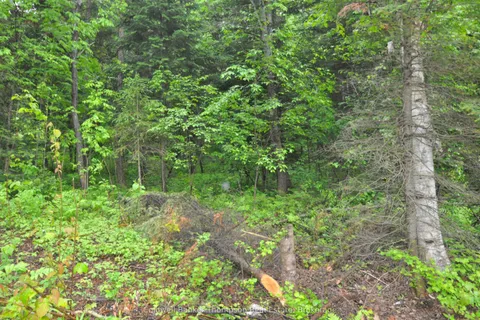 2818 Highway 60 Highway, ON P0A 1H0