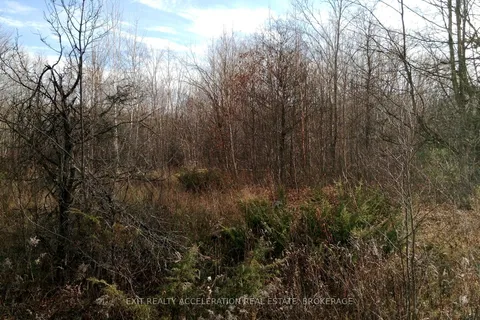 0 Tryon Road, ON K0H 2P0