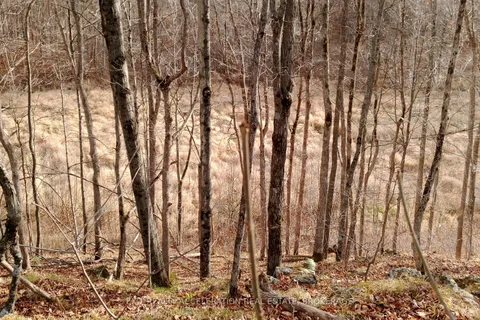 0 Tryon Road, ON K0H 2P0