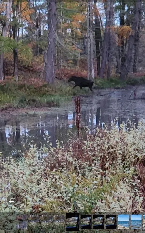 302 Fire Route 93A Route, ON K0L 2H0