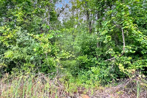 2819 Cowell Road, ON K0A 2T0