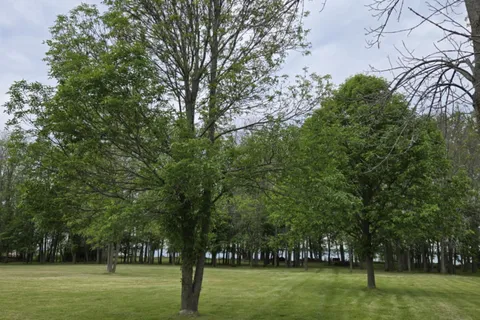 266 Easy Lane, ON K0H 2Y0