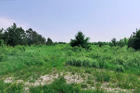 121 Robertson Avenue, ON N4L 1W7