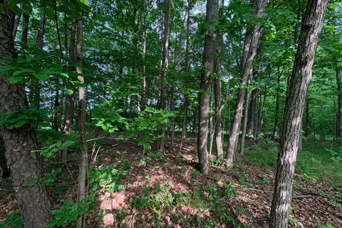 LOT 3 JAMIESON Road, ON K0H 1V0