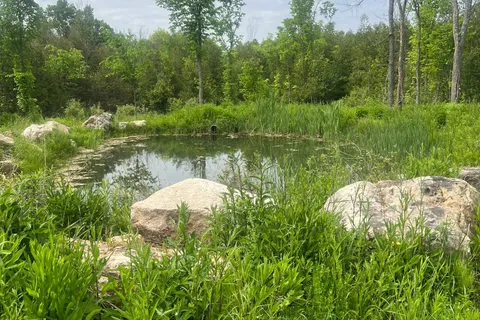 104264 Grey Road 18 N/A, ON N0H 1E0