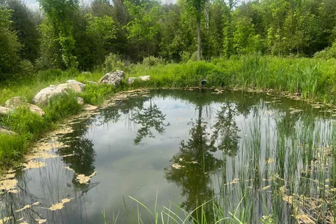 104264 Grey Road 18 N/A, ON N0H 1E0