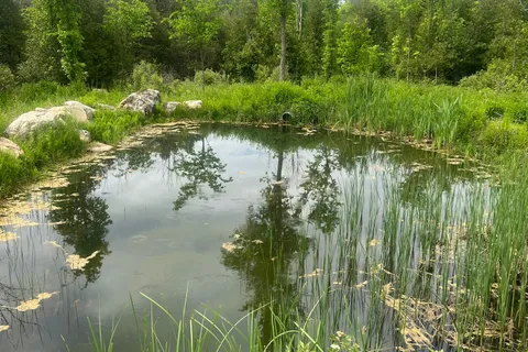 104264 Grey Road 18 N/A, ON N0H 1E0