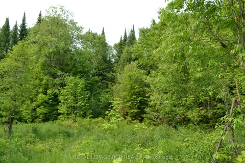 1527 Madill Road, ON K0M 1R0