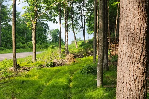 1680 CALABOGIE Road, ON K0A 1G0