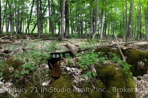 Lot 13 Boat Lake Road, ON N0H 2T0