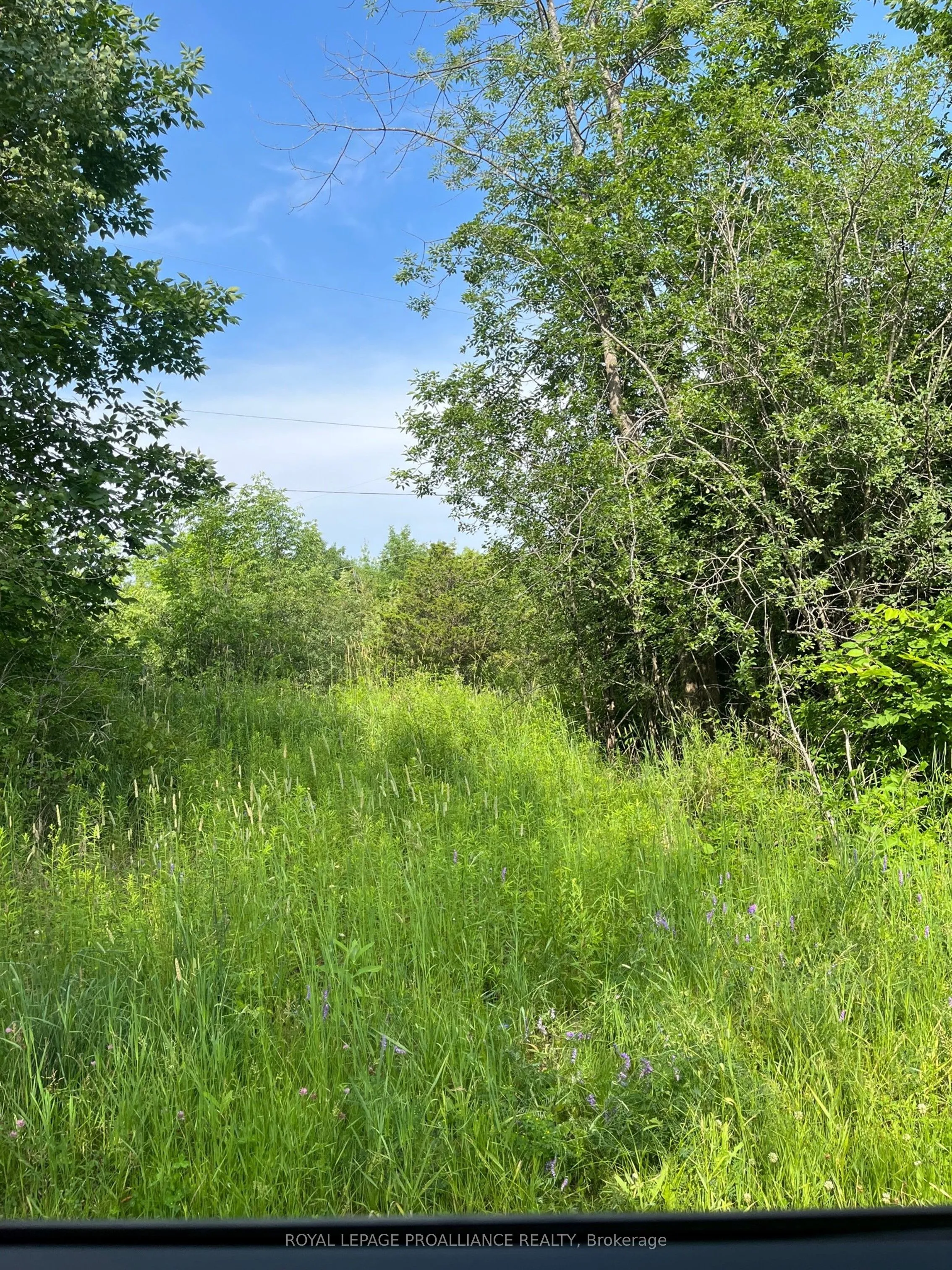 PTLT14 CON 3 N/A, ON K0G 1X0